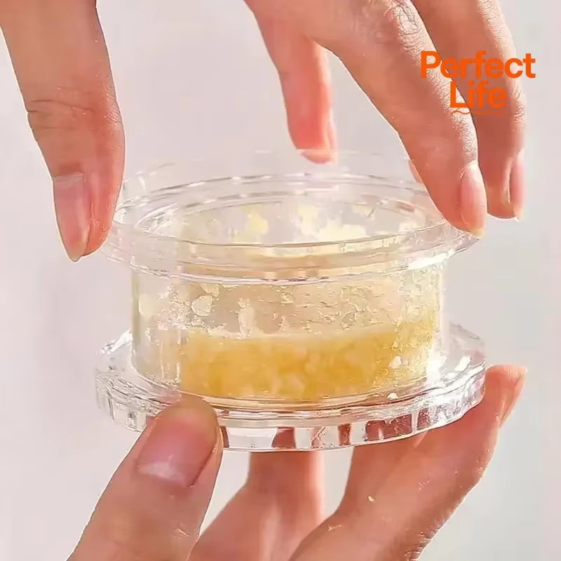 1 Buah Penghancur Bawang Putih - Tech Accessories And Gadgets ulasan dan harga